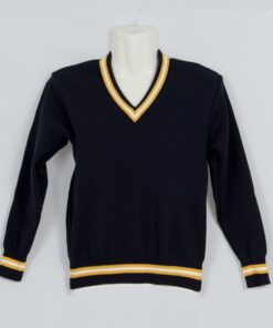 Navy Blue / Gold / White / Gold 3 Stripe School Jersey