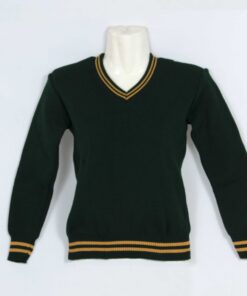Green/Gold 2 Stripe School Jersey