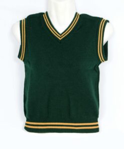 Green/Gold School Pullover