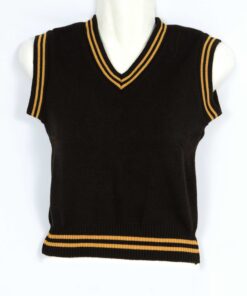 Brown/Gold School Pullover