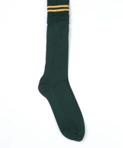 Green / Gold School Socks